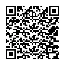 Kode QR untuk nomor Telepon +12503734377