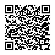 QR код за телефонен номер +12503734379