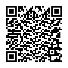 Código QR para número de telefone +12509222870