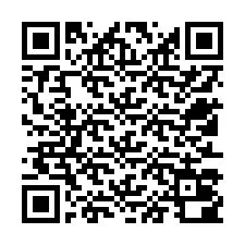 QR Code สำหรับหมายเลขโทรศัพท์ +12513000498