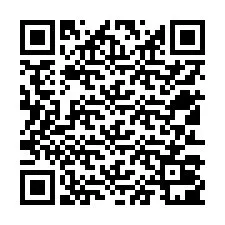 QR-Code für Telefonnummer +12513001170