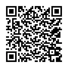 QR-Code für Telefonnummer +12513009679