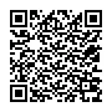 Kode QR untuk nomor Telepon +12513039219