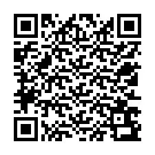 QR-code voor telefoonnummer +12513693798