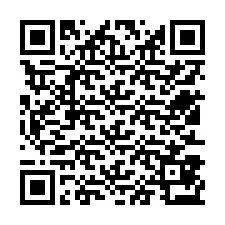 Codice QR per il numero di telefono +12513873196