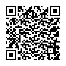 Codice QR per il numero di telefono +12516655698