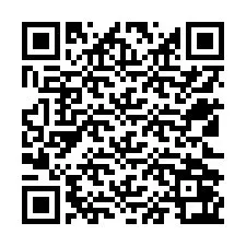 QR-Code für Telefonnummer +12522063310