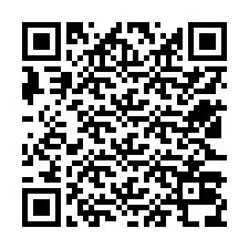 QR Code สำหรับหมายเลขโทรศัพท์ +12523038966