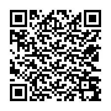 QR Code pour le numéro de téléphone +12523095936