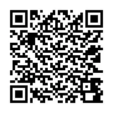 QR-code voor telefoonnummer +12523480878