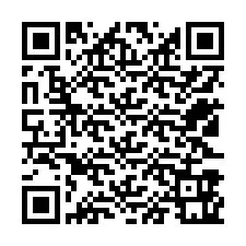 QR-код для номера телефона +12523961075