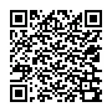 QR kód a telefonszámhoz +12526390028