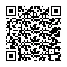 QR-код для номера телефона +12527338179