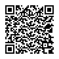 QR-code voor telefoonnummer +12528308418