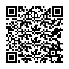 QR-Code für Telefonnummer +12528385623