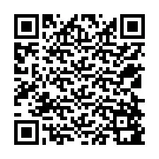 QR kód a telefonszámhoz +12528581610