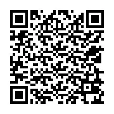 Código QR para número de telefone +12529024058