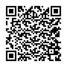 QR код за телефонен номер +12529028392