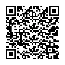 Codice QR per il numero di telefono +12532209028