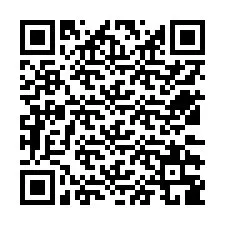 QR-Code für Telefonnummer +12532389516