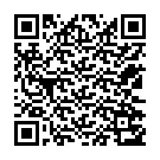 QR Code for Phone number +12532753675