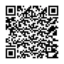 QR kód a telefonszámhoz +12533010221