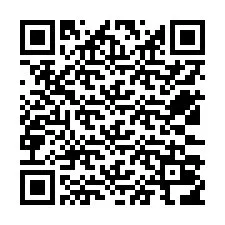 Codice QR per il numero di telefono +12533016233