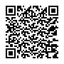 QR-koodi puhelinnumerolle +12533018808