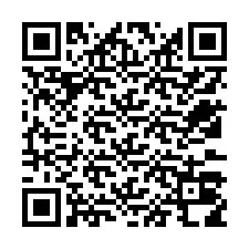 Codice QR per il numero di telefono +12533018809