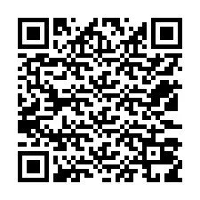 Kode QR untuk nomor Telepon +12533019095