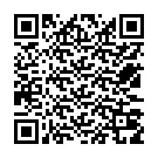 QR Code สำหรับหมายเลขโทรศัพท์ +12533019097