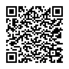 Código QR para número de teléfono +12533019098