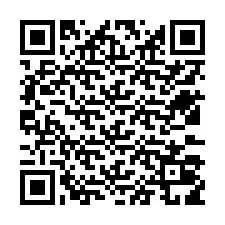 Codice QR per il numero di telefono +12533019102