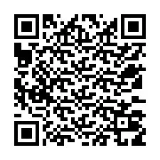 Código QR para número de telefone +12533019104