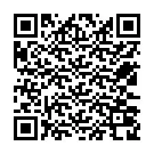 QR-code voor telefoonnummer +12533028373