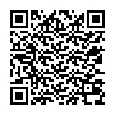 QR-code voor telefoonnummer +12533038168