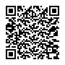 Codice QR per il numero di telefono +12533038380