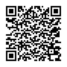 QR-code voor telefoonnummer +12533038558