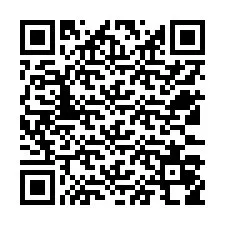 Código QR para número de teléfono +12533058524