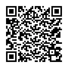 QR-code voor telefoonnummer +12533070565