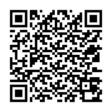 QR-koodi puhelinnumerolle +12533070854