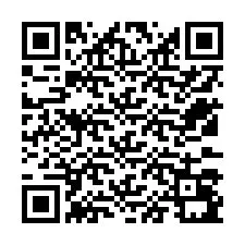 QR-code voor telefoonnummer +12533091005