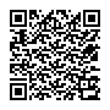 QR-koodi puhelinnumerolle +12533132046