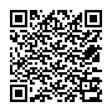 QR-code voor telefoonnummer +12533132047