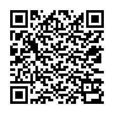 QR-код для номера телефона +12533132498