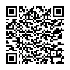 QR Code for Phone number +12533134104