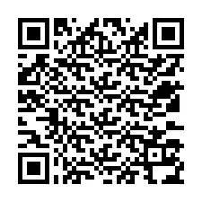 QR-code voor telefoonnummer +12533134104