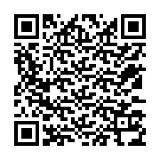 QR-kood telefoninumbri jaoks +12533134111