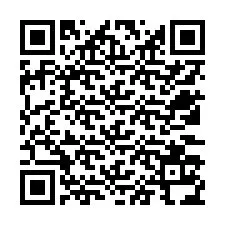 Codice QR per il numero di telefono +12533134788