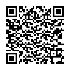 Codice QR per il numero di telefono +12533134822